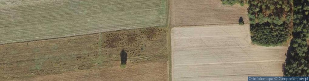 Zdjęcie satelitarne Batalionów Chłopskich ul.