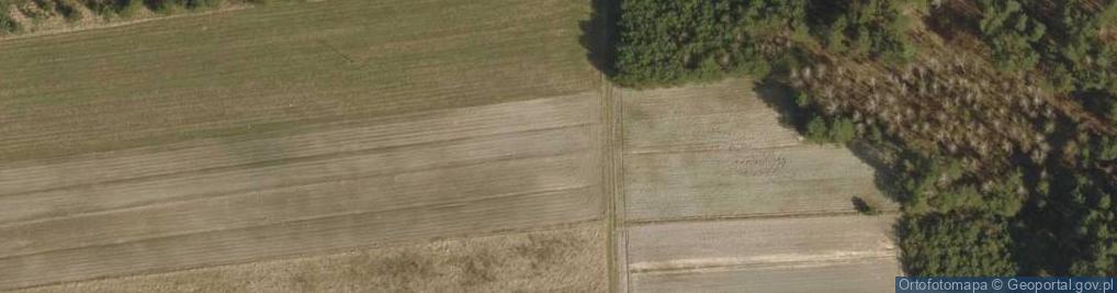 Zdjęcie satelitarne Batalionów Chłopskich ul.