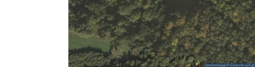 Zdjęcie satelitarne Bartkówka ul.