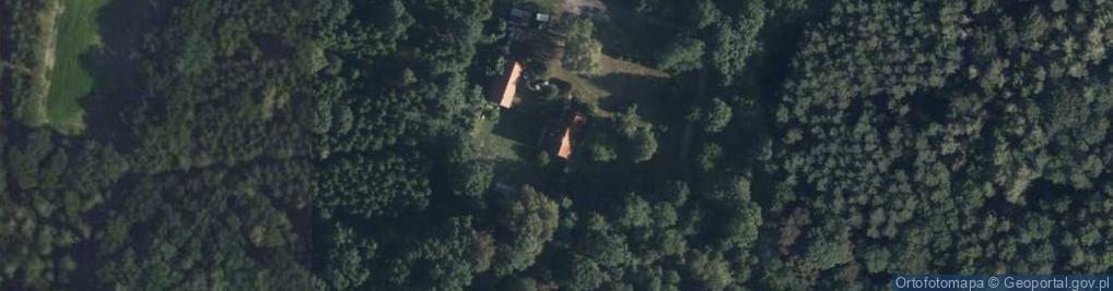 Zdjęcie satelitarne Bagno ul.