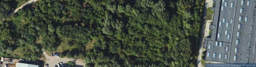 Zdjęcie satelitarne Bartników ul.