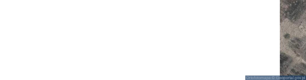 Zdjęcie satelitarne Bagnista ul.