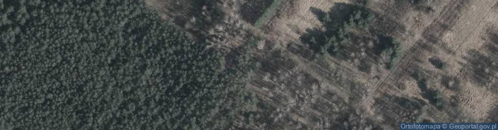 Zdjęcie satelitarne Bagnista ul.