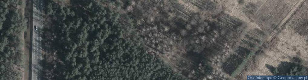 Zdjęcie satelitarne Bagnista ul.