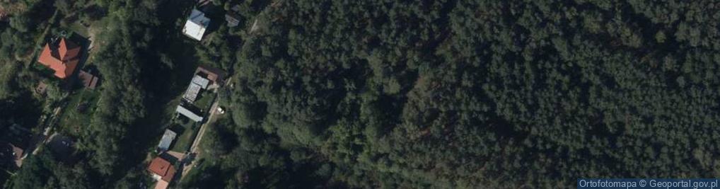 Zdjęcie satelitarne Bagnista ul.