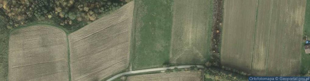 Zdjęcie satelitarne Batalionów Chłopskich ul.