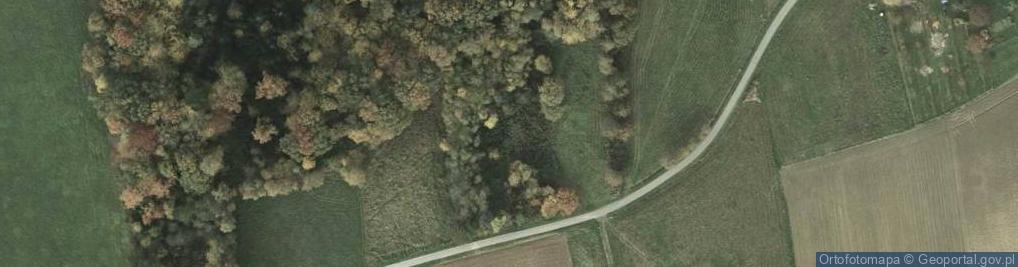 Zdjęcie satelitarne Batalionów Chłopskich ul.