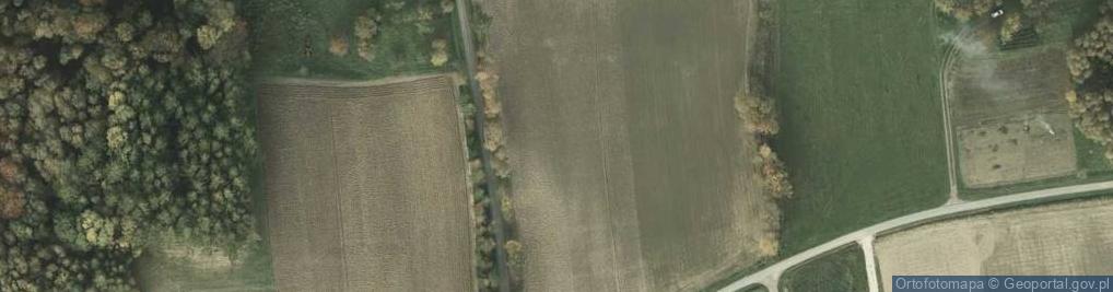 Zdjęcie satelitarne Batalionów Chłopskich ul.