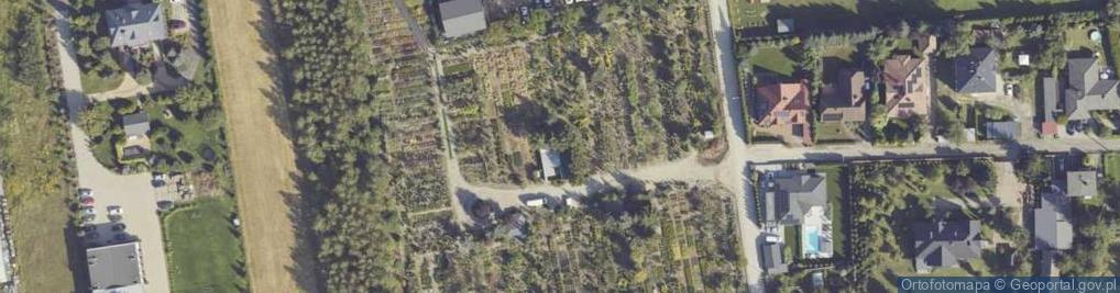 Zdjęcie satelitarne Balonowa ul.
