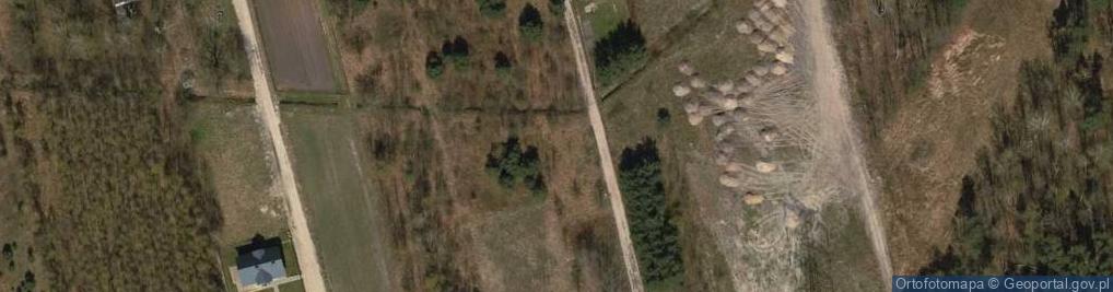 Zdjęcie satelitarne Bagno ul.