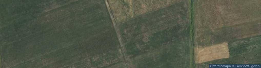 Zdjęcie satelitarne Bażancia ul.