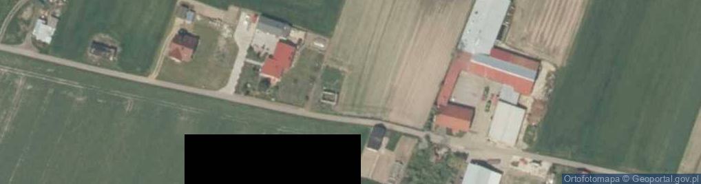 Zdjęcie satelitarne Bedlno-Żbiwiec ul.