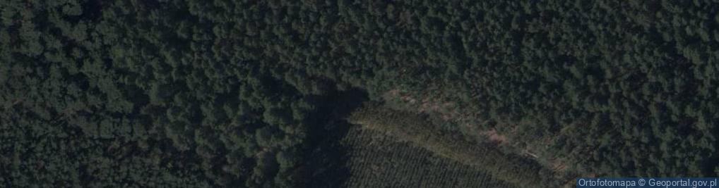 Zdjęcie satelitarne Bema Józefa, gen. ul.