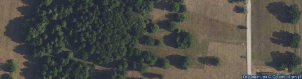 Zdjęcie satelitarne Bielika ul.