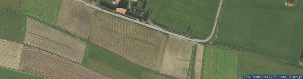 Zdjęcie satelitarne Biała Niżna ul.