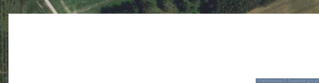 Zdjęcie satelitarne Białoskóry ul.