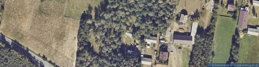 Zdjęcie satelitarne Bicz ul.