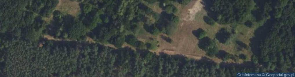 Zdjęcie satelitarne Bieliny ul.