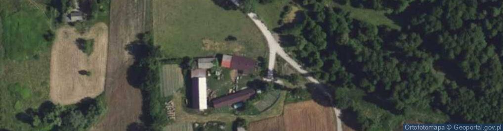 Zdjęcie satelitarne Bieliny ul.