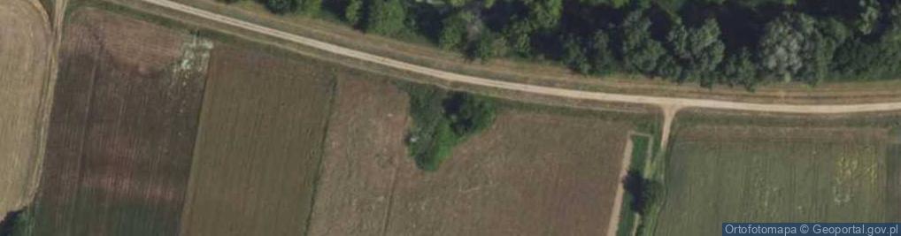 Zdjęcie satelitarne Bieniew ul.