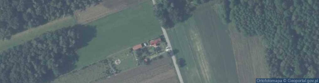 Zdjęcie satelitarne Bierdzież ul.