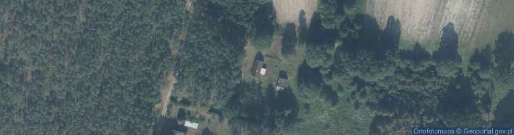 Zdjęcie satelitarne Biernatowo ul.