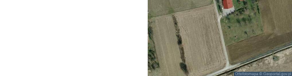 Zdjęcie satelitarne Bierówka ul.