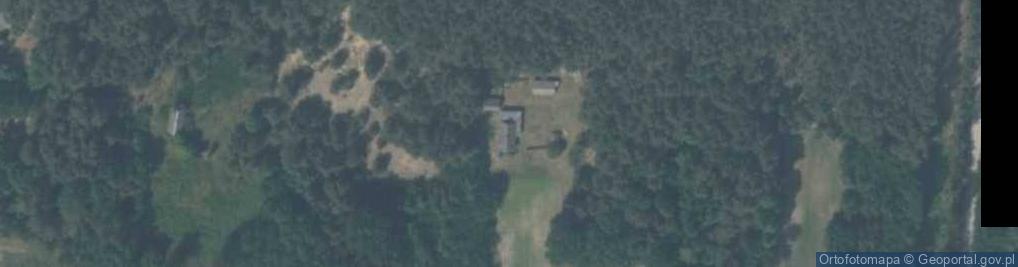 Zdjęcie satelitarne Bierwiecka Wola ul.