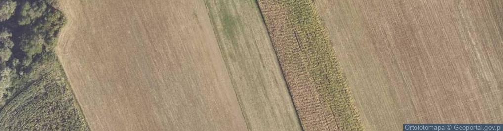 Zdjęcie satelitarne Biskupice ul.