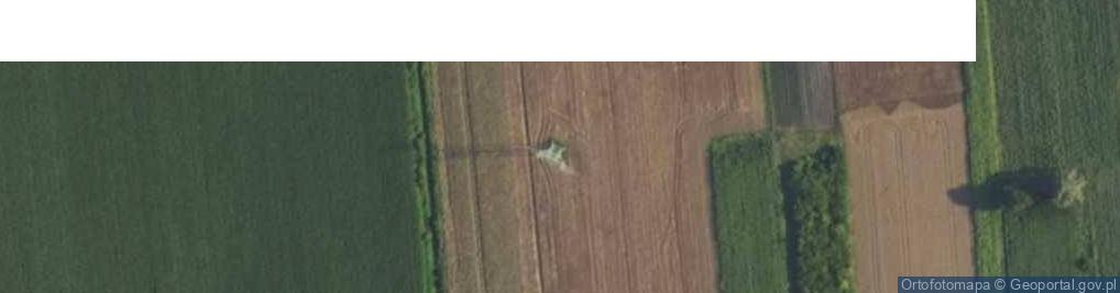 Zdjęcie satelitarne Bieniewicka ul.