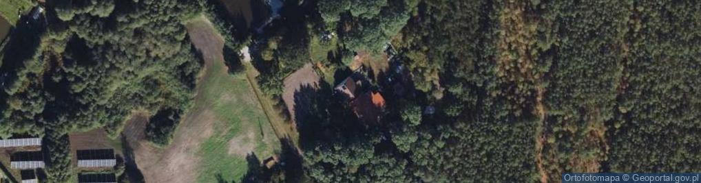 Zdjęcie satelitarne Bierzgłowska ul.