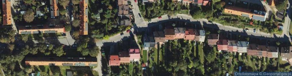 Zdjęcie satelitarne Bitwy pod Lenino ul.