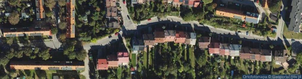 Zdjęcie satelitarne Bitwy pod Lenino ul.