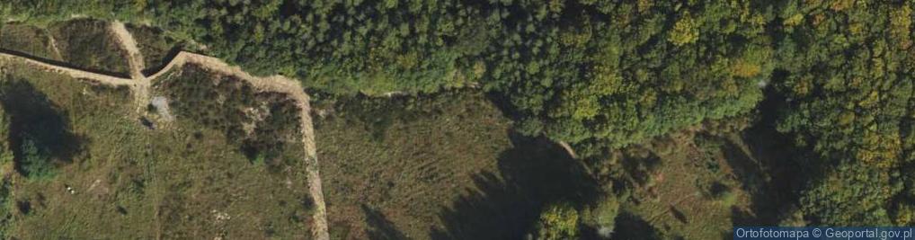 Zdjęcie satelitarne Bieszczadzka ul.