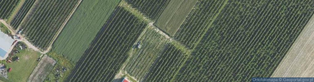 Zdjęcie satelitarne Bialska ul.