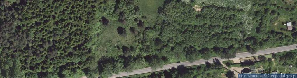 Zdjęcie satelitarne Bieszczadzka ul.