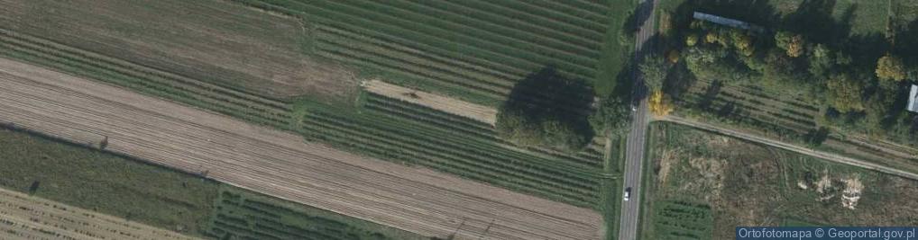 Zdjęcie satelitarne Biłgorajska ul.