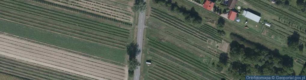 Zdjęcie satelitarne Biłgorajska ul.
