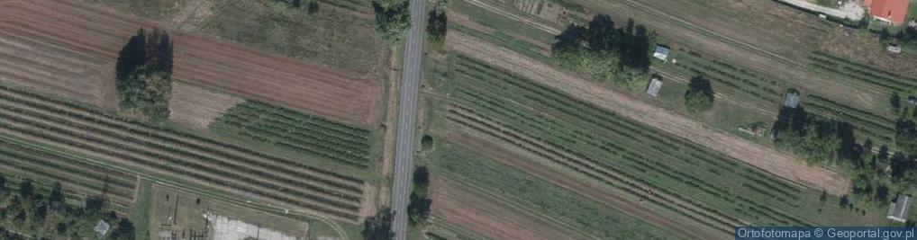 Zdjęcie satelitarne Biłgorajska ul.