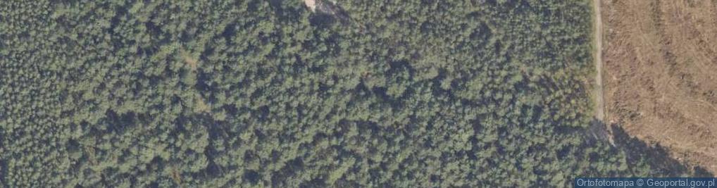 Zdjęcie satelitarne Birkenmajera Aleksandra ul.