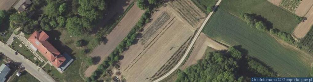 Zdjęcie satelitarne Blinów Drugi ul.