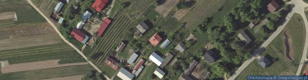Zdjęcie satelitarne Blinów Pierwszy ul.