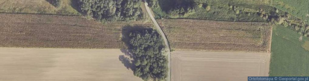 Zdjęcie satelitarne Blizanów ul.