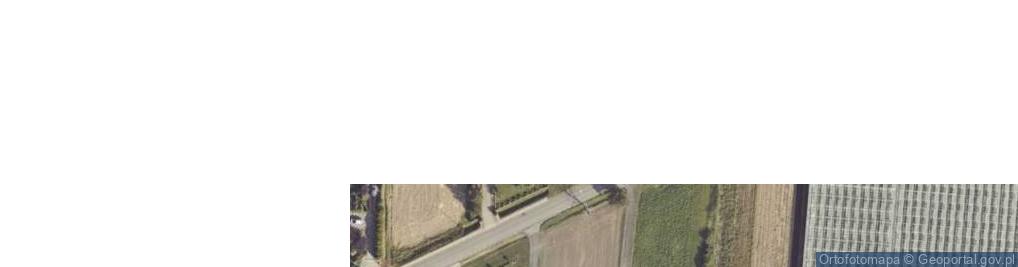 Zdjęcie satelitarne Blizanówek ul.