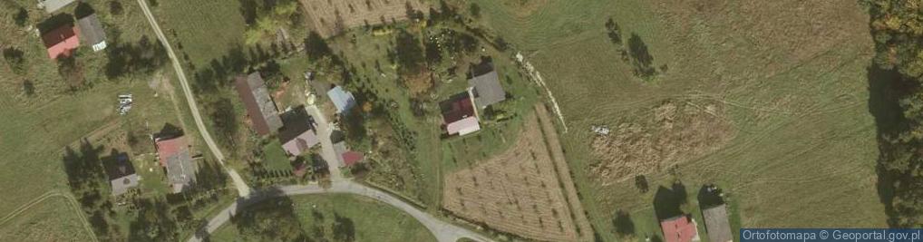 Zdjęcie satelitarne Blizianka ul.