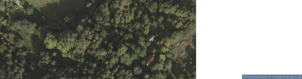 Zdjęcie satelitarne Blizianka ul.