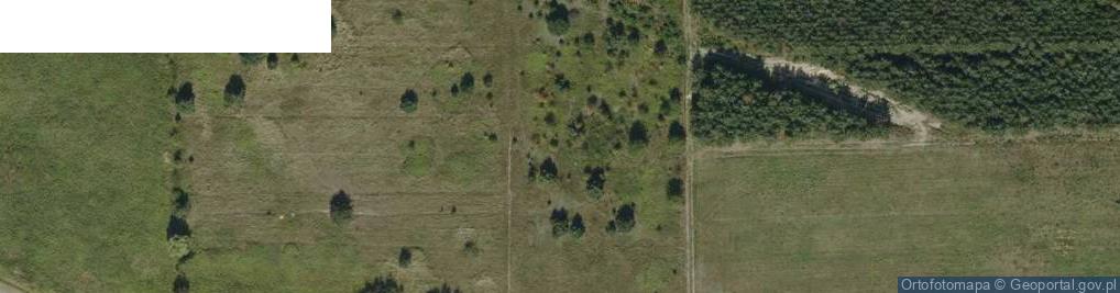 Zdjęcie satelitarne Błonie ul.