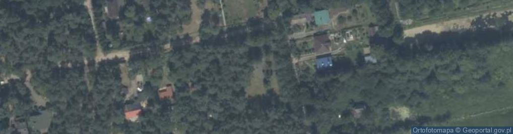 Zdjęcie satelitarne Bluszczowa ul.