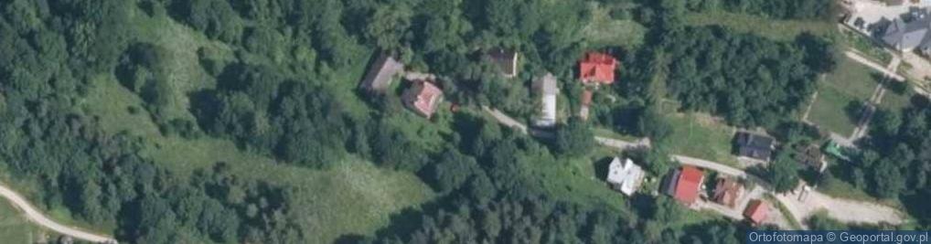 Zdjęcie satelitarne Blachnickiego Franciszka, ks. ul.