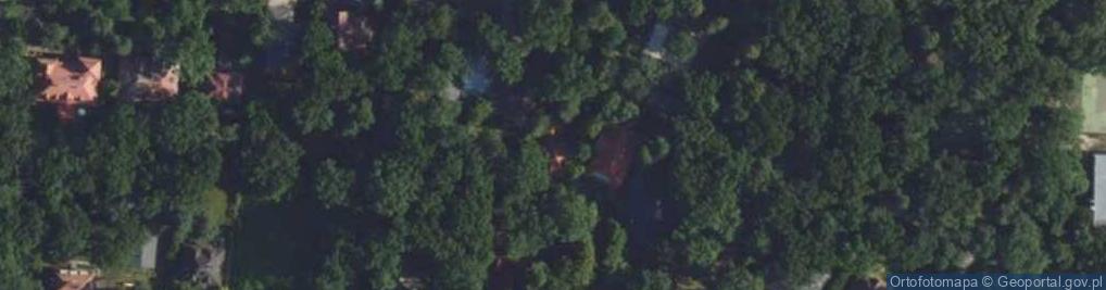 Zdjęcie satelitarne Bluszczowa ul.